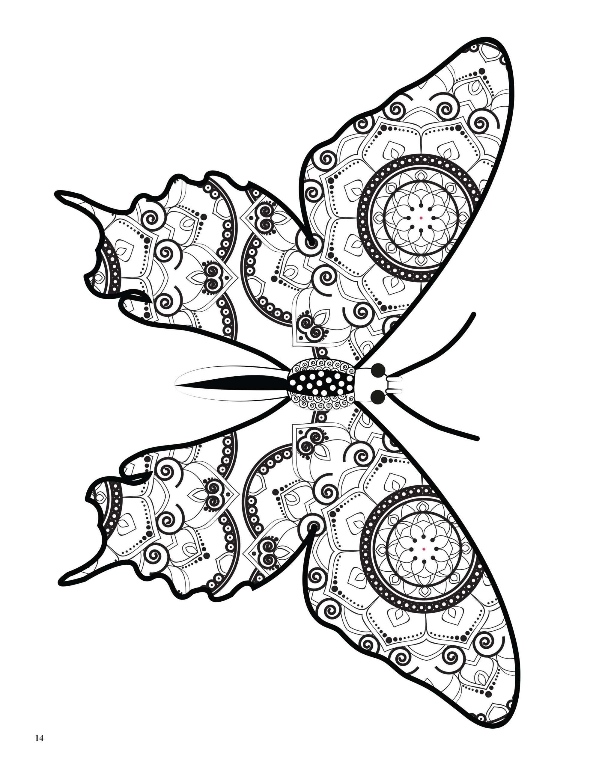 Relaxing Butterflies: Butterfly Mandala Coloring Book image 3