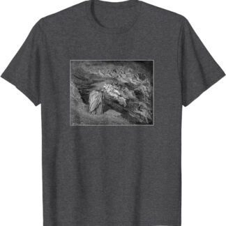Dante’s Inferno “Love Brought Us To One Death” Gustave Doré T-Shirt Dark Heather