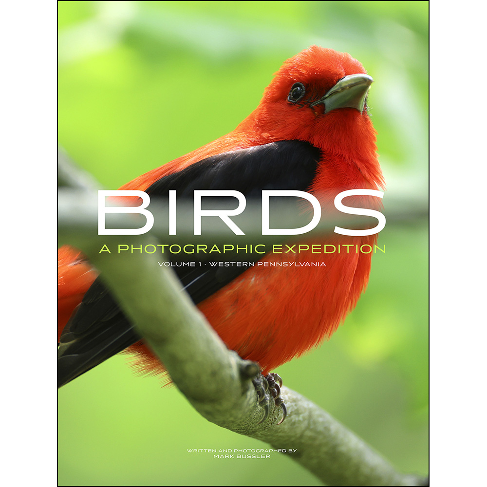 Birds: A Photographic Expedition Volume 1 - Western Pennsylvania